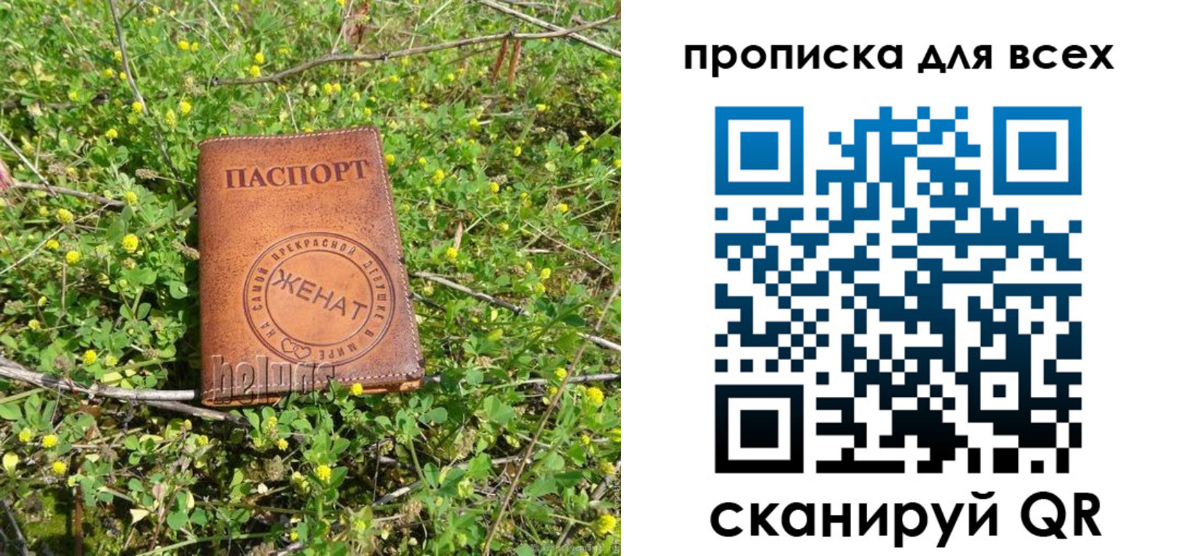 прописка поиск в Струнино